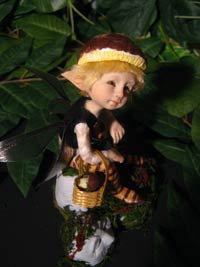 Livio Fairie Pixie e i funghi